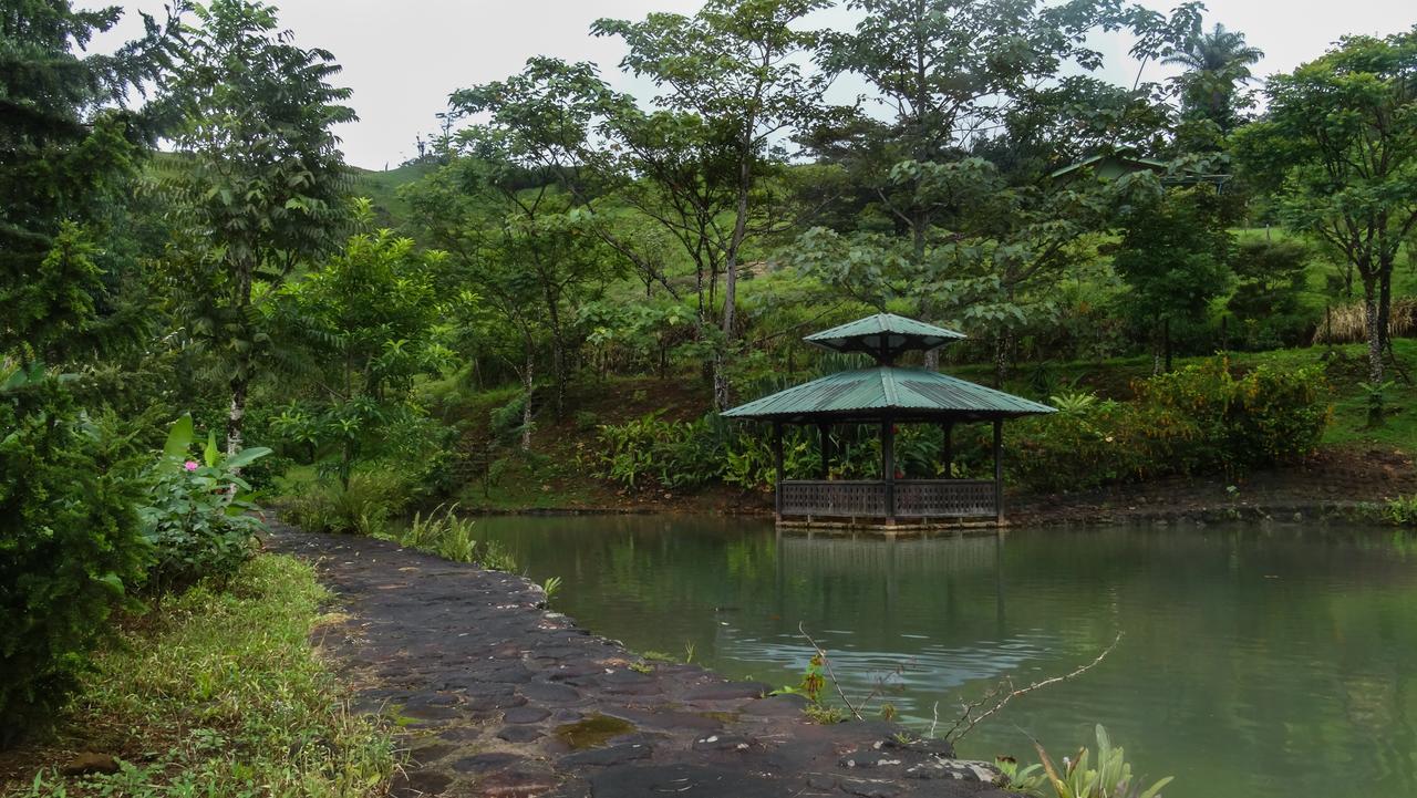 Malekus Mountain Lodge Aguas Claras  Dış mekan fotoğraf