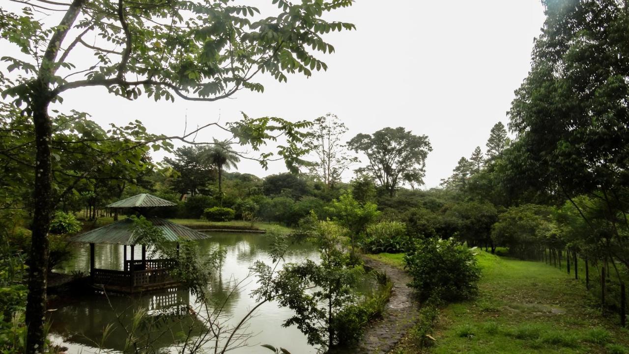 Malekus Mountain Lodge Aguas Claras  Dış mekan fotoğraf