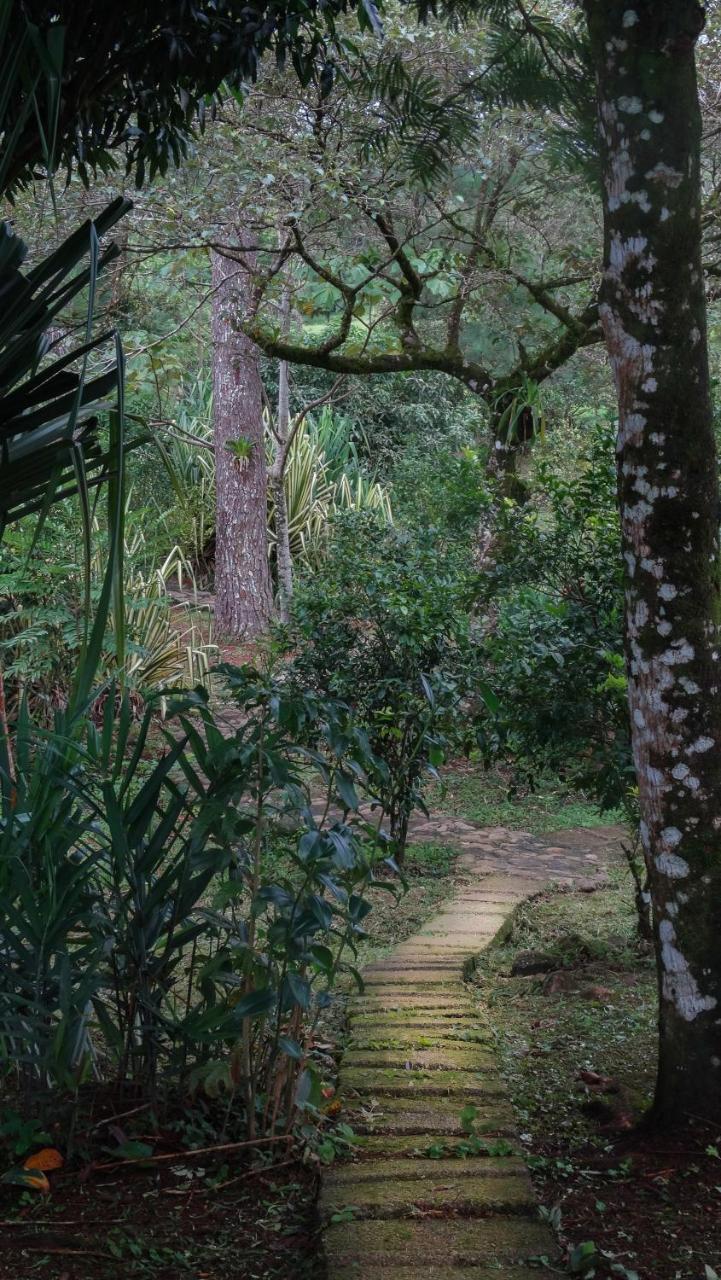 Malekus Mountain Lodge Aguas Claras  Dış mekan fotoğraf