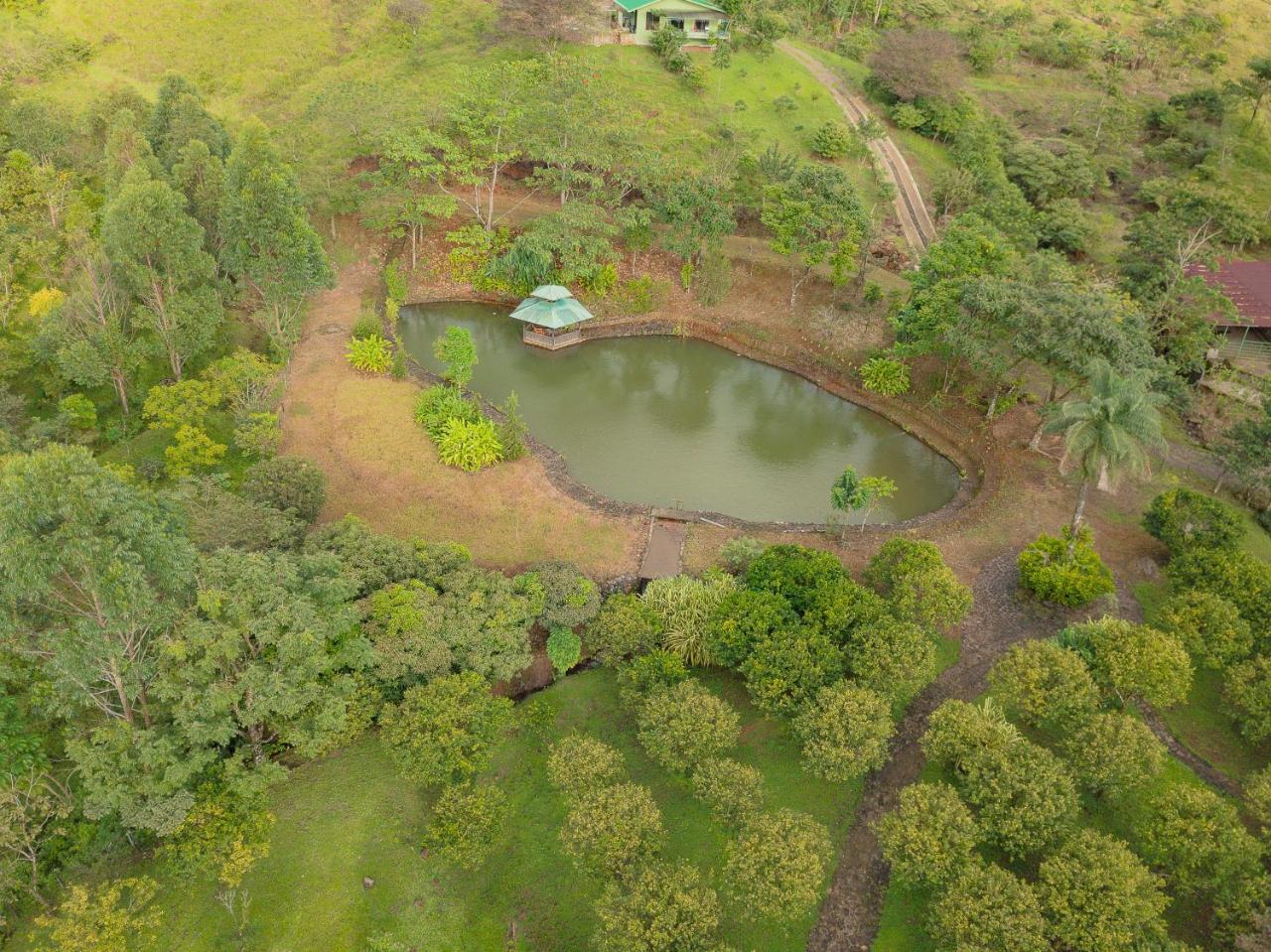 Malekus Mountain Lodge Aguas Claras  Dış mekan fotoğraf