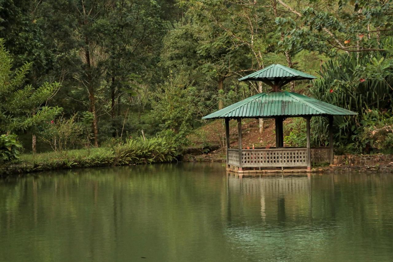 Malekus Mountain Lodge Aguas Claras  Dış mekan fotoğraf