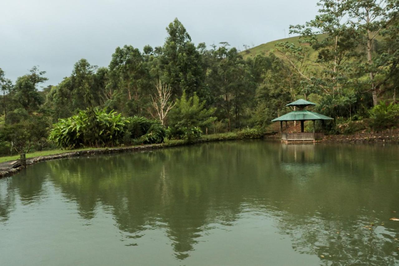 Malekus Mountain Lodge Aguas Claras  Dış mekan fotoğraf